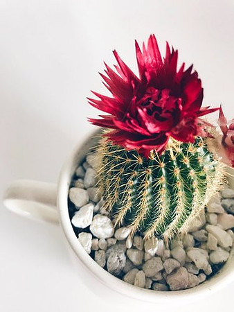 stephanie-harvey-nGLw_HBasuU-unsplash