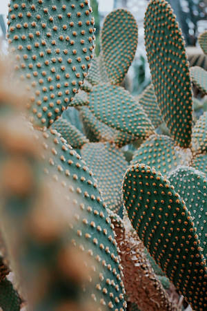 hannah-c-8RpP-YwERcU-unsplash