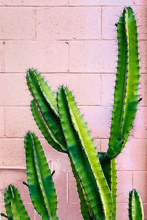 nelson-flores-y_yKkAYsQRQ-unsplash